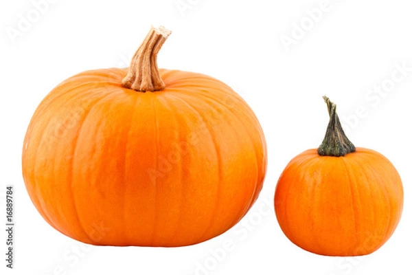 Obraz pumpkins