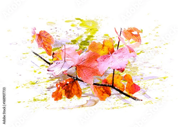 Fototapeta Jesień, jesienne liście / gałązka - dzieło sztuki, akwarela, ilustracja, plusk - białe tło na białym tle - kopia, ciało, miejsce na tekst