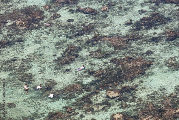 Obraz 浅瀬の海で遊ぶ人