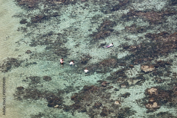 Obraz 浅瀬の海で遊ぶ人