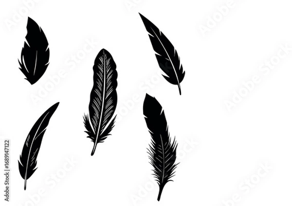 Fototapeta Artistic Feather Vector Set