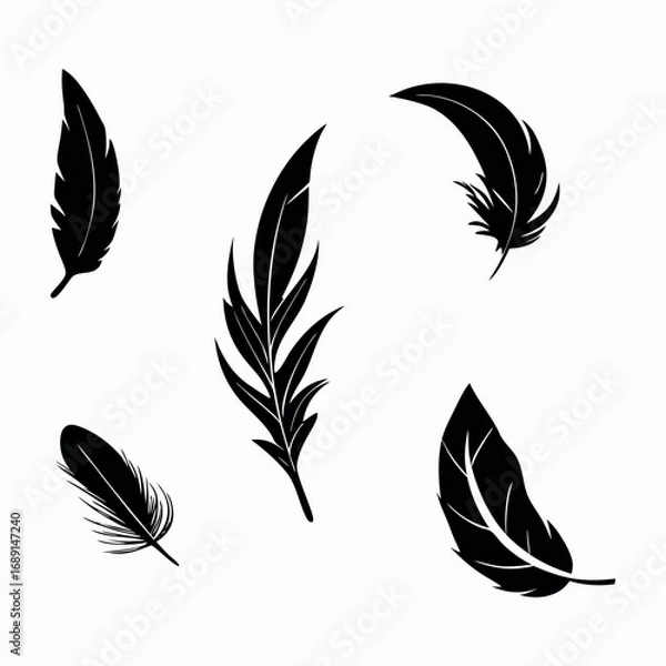 Fototapeta Artistic Feather Vector Set