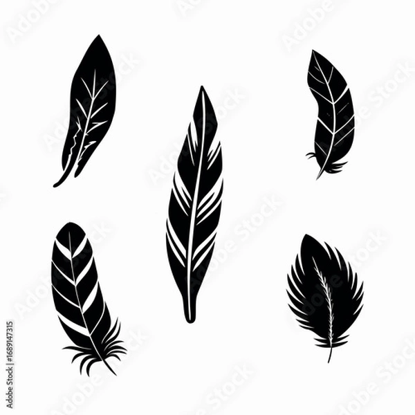 Fototapeta Artistic Feather Vector Set