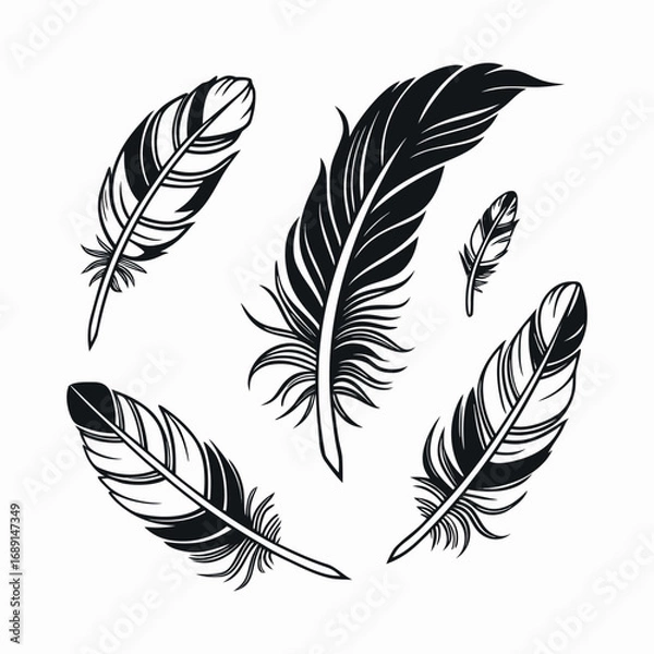 Fototapeta Artistic Feather Vector Set