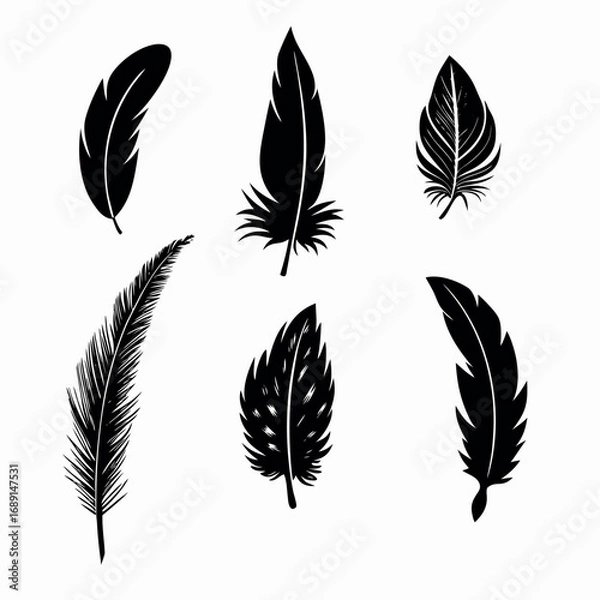 Fototapeta Artistic Feather Vector Set