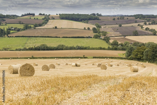 Obraz Hay Bales Ready For Storage