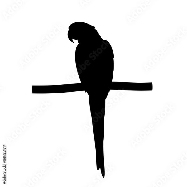 Fototapeta Silhouette of a parrot perched on a branch isolated on white background