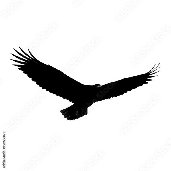 Fototapeta Black eagle silhouette flying with wings spread isolated on white background