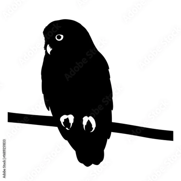 Fototapeta Black owl silhouette perched on a branch isolated on white background