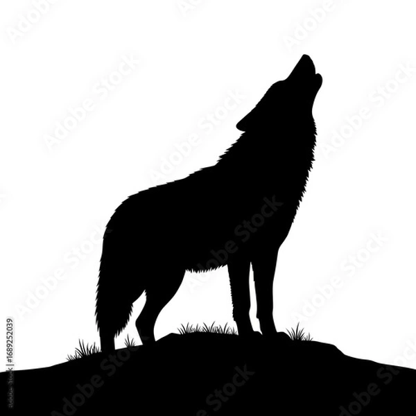 Fototapeta Black wolf howling silhouette on a hill isolated on white background