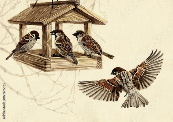 Fototapeta Рисунок акварелью "Воробьи слетелись к кормушке"