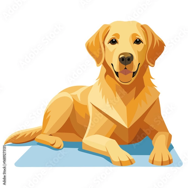 Obraz vector illustration of labrador retriever, lying down, flat design