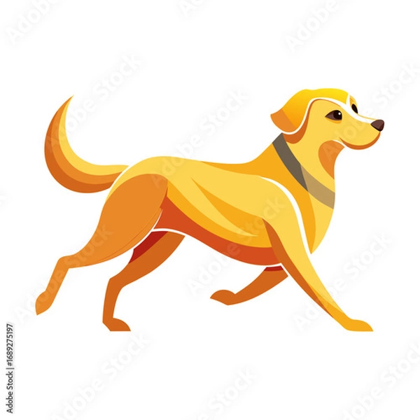 Fototapeta vector illustration of labrador retriever, running, abstract
