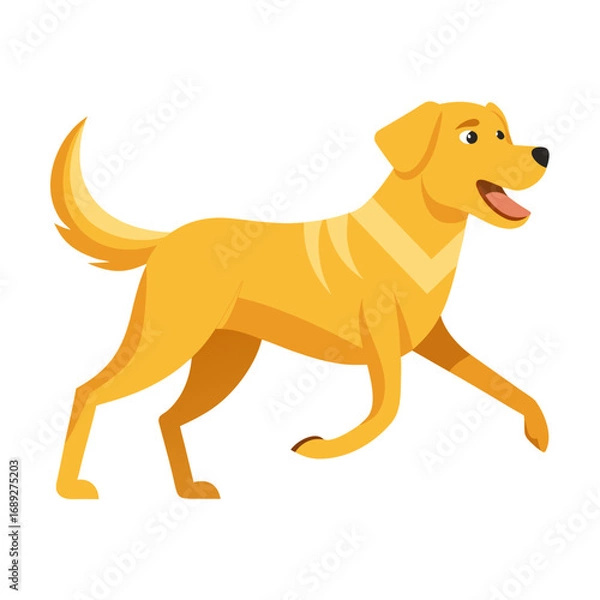 Fototapeta vector illustration of labrador retriever, running, flat design