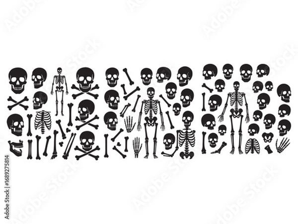 Obraz “Skull and bone silhouette elements including skeleton parts, horror Halloween vector bundle.”