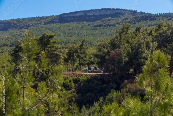 Obraz Historic artillery gun hidden in forest hills at Turgut Reis Bastion in Çanakkale, Turkey