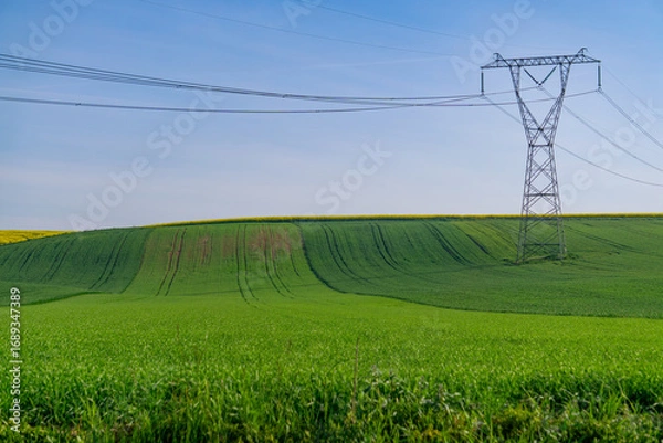 Obraz High voltage power line on green agricultural field during sunny spring day, rural landscape with electricity transmission tower