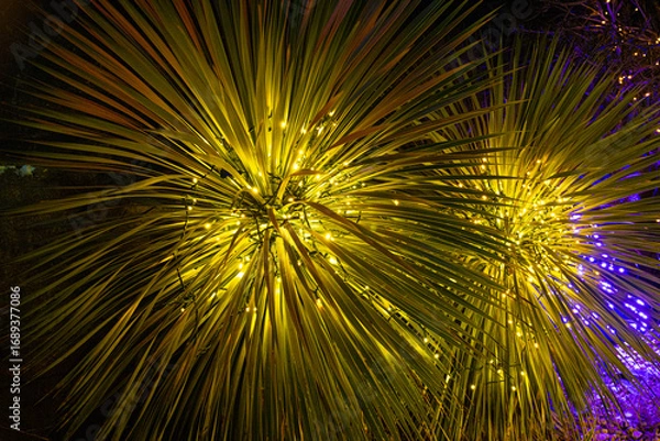 Fototapeta Plants with lights