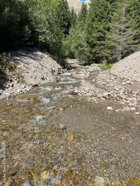 Obraz river in the forest