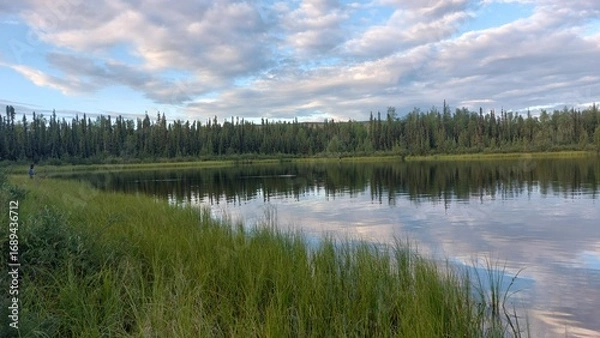 Fototapeta lake and forest