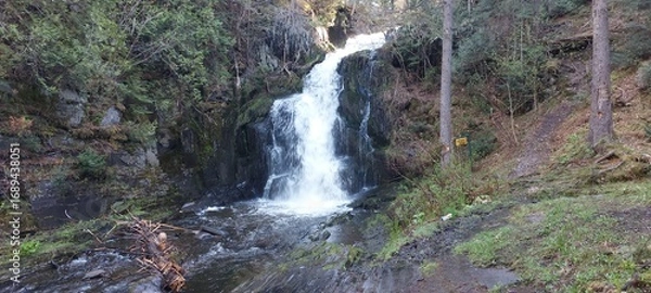 Obraz waterfall in the forest