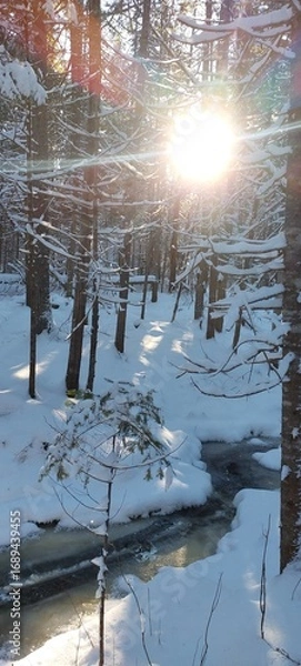 Obraz reflection in the water