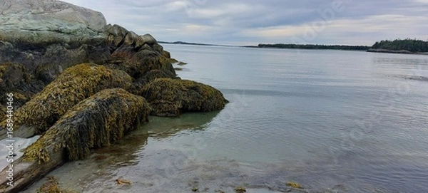 Obraz view from the sea