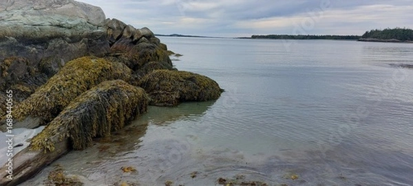 Obraz  walk on the beach 