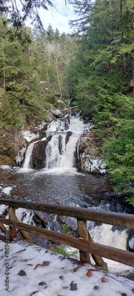 Obraz waterfall in the forest