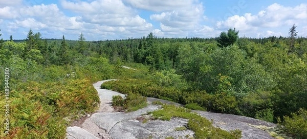 Obraz On the trail river 