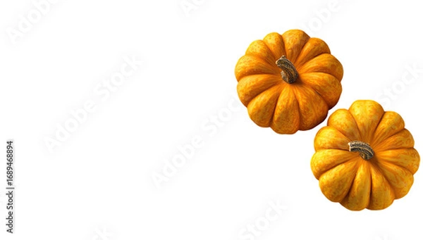 Obraz Two small pumpkins, overhead view