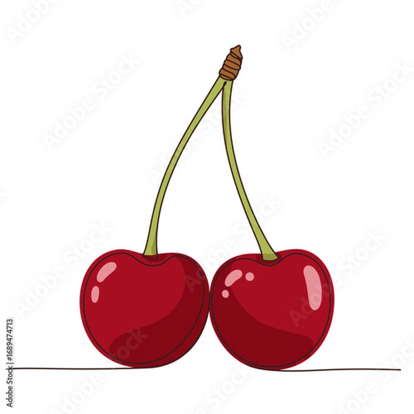 Fototapeta Two Red Cherries with Stems on White Background