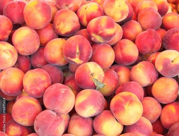 Obraz Pêches du marché