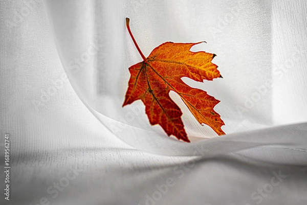 Fototapeta Red autumn leaf on white fabric
Detailed macro photograph of a red autumn leaf placed on white fabric, highlighting texture and colors.
