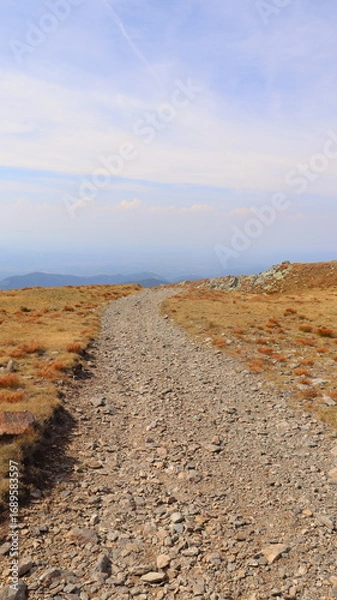 Obraz path to the beach