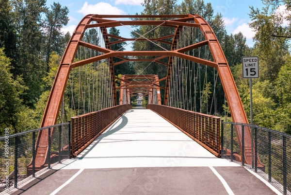 Obraz walking bridge over the river