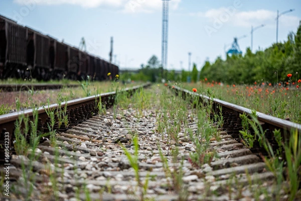 Fototapeta Colorful flowers growing alongside railway tracks, vibrant blooms contrasting with rustic train cars and lush greenery, showcasing nature's resilience in an industrial setting