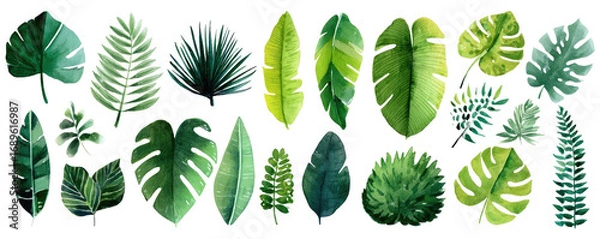Fototapeta Assorted Tropical Leaves