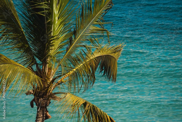 Obraz tropical palm tree on a beach with turquoise waters