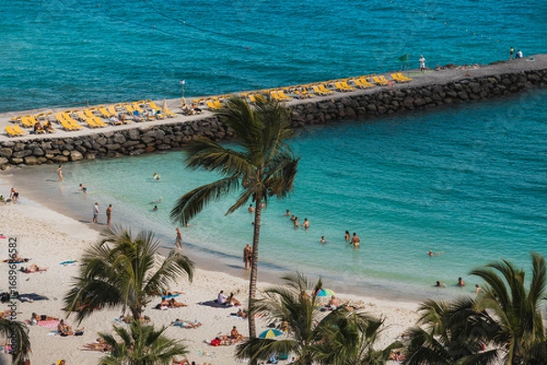 Obraz aerial view of a beach with palm trees