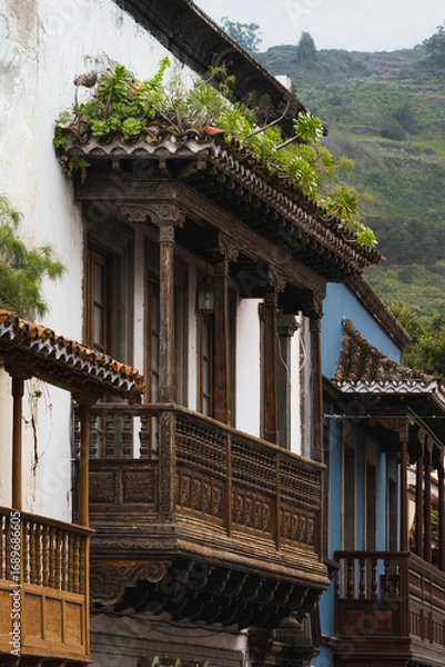 Obraz vegetation growing on a Canarian balcony