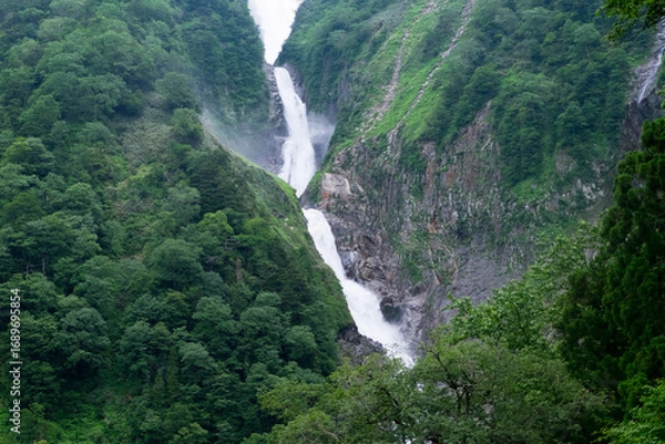Fototapeta 八郎坂かの望む称名滝の夏風景