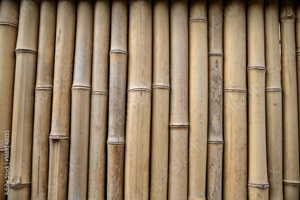 Obraz Old reed wall. Cane background