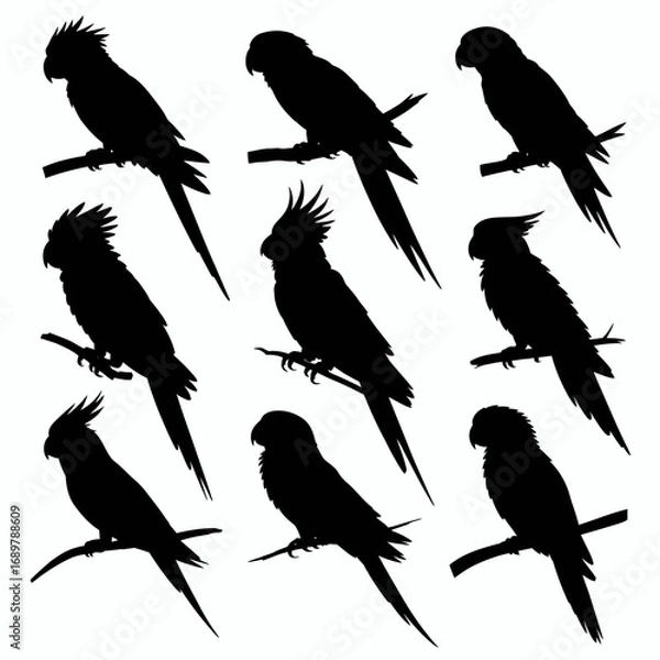 Obraz Bird Silhouette Vector Pack