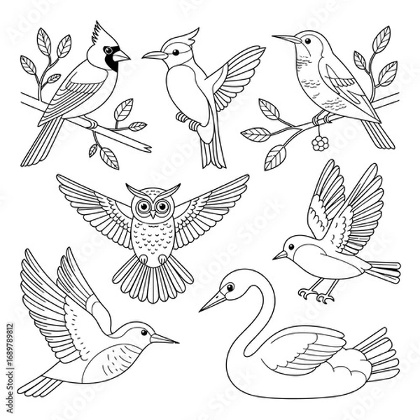 Obraz Bird Outline Illustration Set