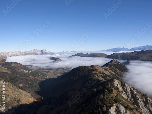 Fototapeta OLYMPUS DIGITAL CAMERA