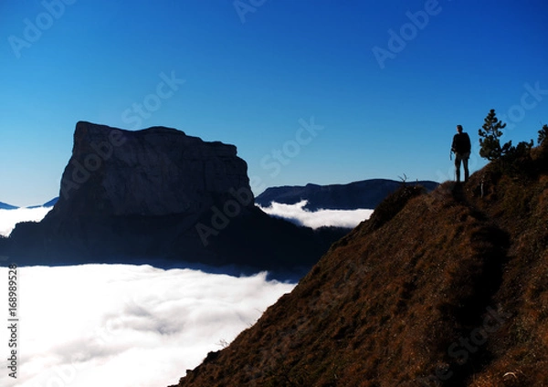 Fototapeta OLYMPUS DIGITAL CAMERA