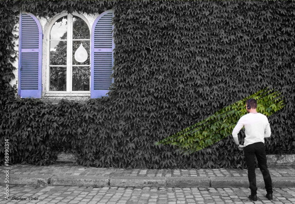 Fototapeta OLYMPUS DIGITAL CAMERA