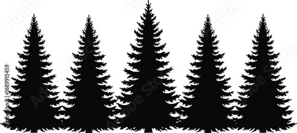 Fototapeta Silhouette of pine trees forest, evergreen tree vector, winter nature landscape, black Christmas tree shapes, conifer woods background, isolated illustration