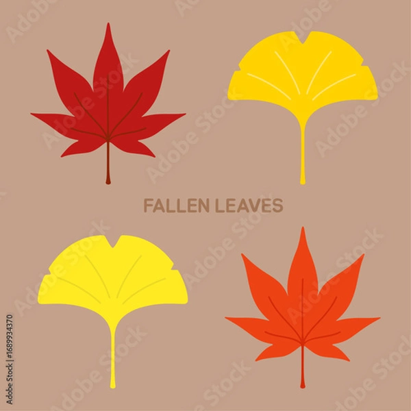 Obraz 낙엽 벡터 일러스트